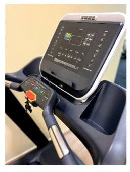 Беговая дорожка UltraGym UG-POWER 001